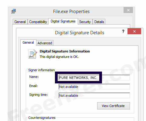 Screenshot of the PURE NETWORKS, INC. certificate